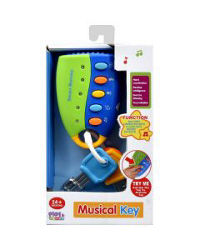 Play & Learn Musical Toy, Assorted