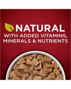 Purina ONE Natural, High Protein Gravy Wet Dog Food, SmartBlend True Instinct Real Turkey & Venison - 13 oz