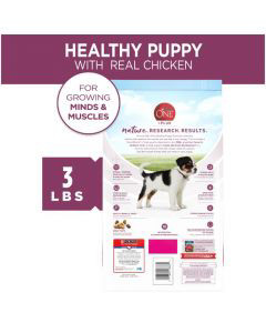 Purina ONE Natural Dry Puppy Food, SmartBlend Healthy Puppy Formula, 3 lb