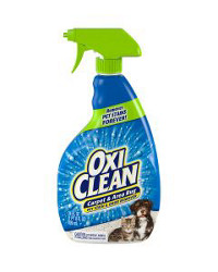 Deodorizers & Stain Removers 