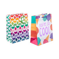 Medium Rainbow Geometric Gift Bags, 2 Pack