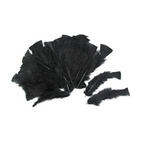 Make Shoppe Black Feathers 0.4oz