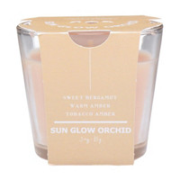 Sun Glow Orchid Candle, 3oz.