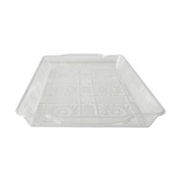 Clear Square Tray with Handles