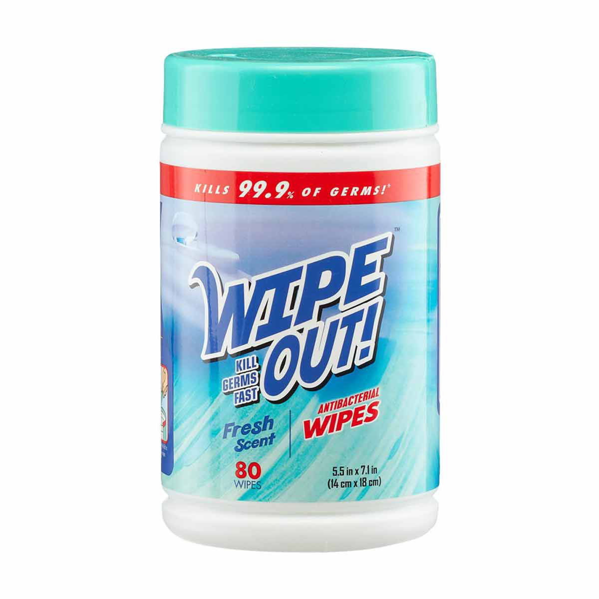 Wipe Out! Fresh Scent Antibacterial Wipes, 80 Count
