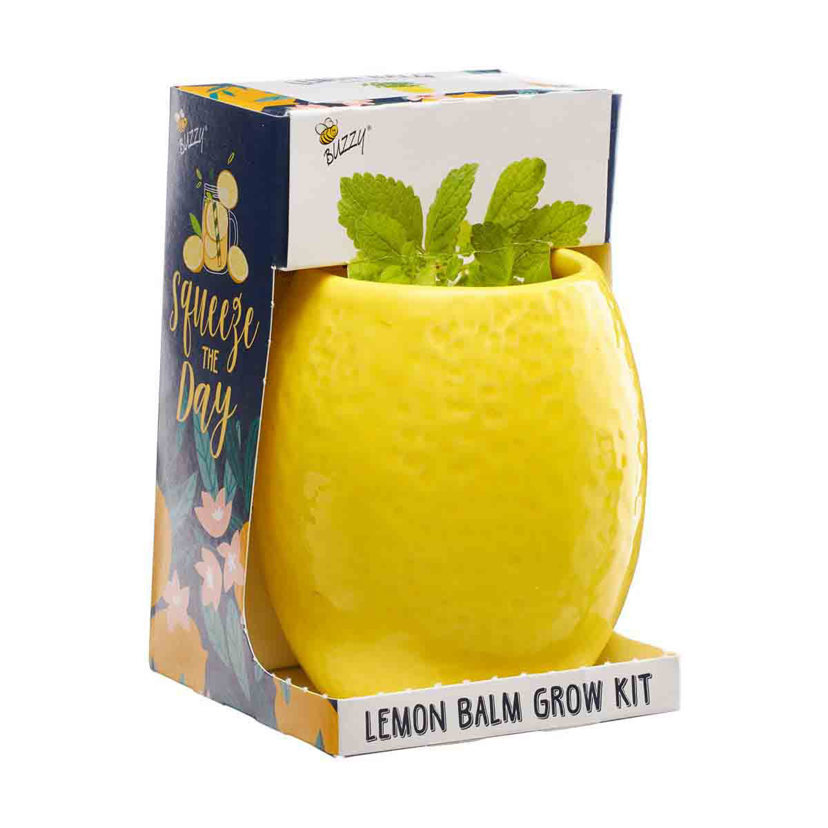 Buzzy Lemon Balm Grow Kit