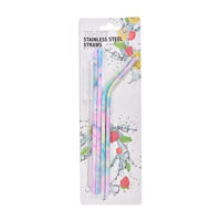 Reusable Stainless Steel Straws, 4 Straws, Tie-dye