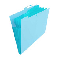 Ryder & Co. Plastic Folder, Blue