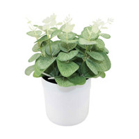 Artificial Green Eucalypt Plant with Pot