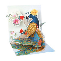 Peacock Pop Up Greeting Card
