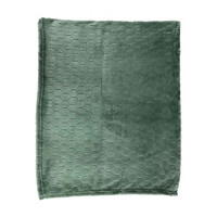 Honeycomb Pattern Flannel Jacquard Throw, Green, 50 in x 60 in
