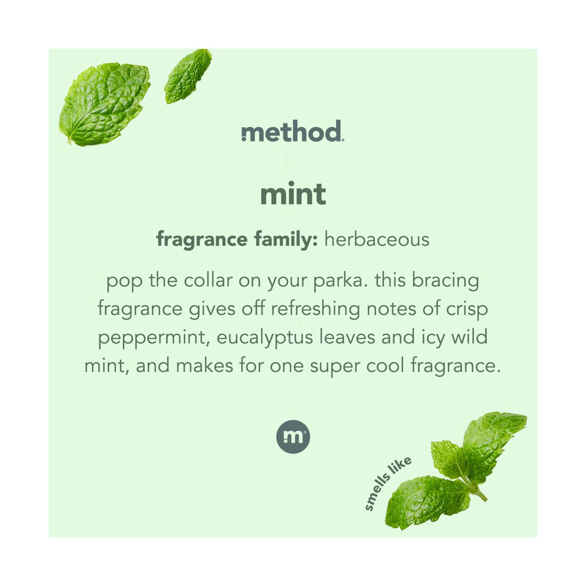 Method Mint Glass Cleaner 28 Fl Oz