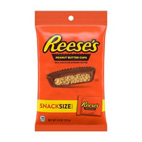 Reese's Milk Chocolate & Peanut Butter Snack Size