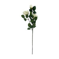 Rose Stem