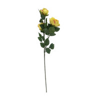 Rose Stem