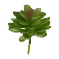 Succulent Pick