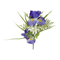 Purple Iris Pick