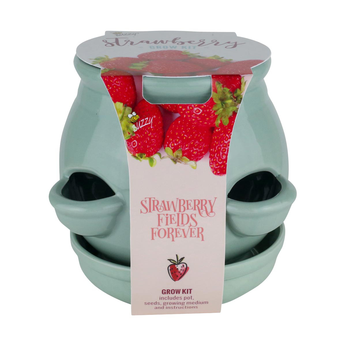 Buzzy Strawberry Fields Forever Grow Kit with 4 Pockets Ceramic Pot