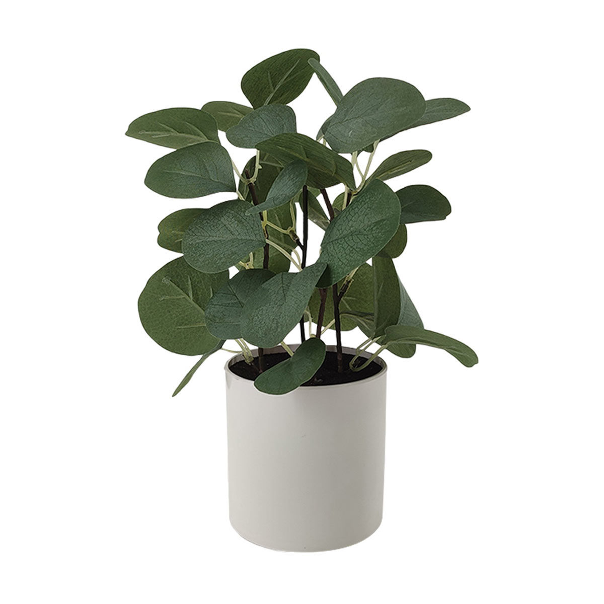 Tall artificial plant | Hamilton Place