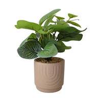 Green Artificial Plant with Terracotta  Pot