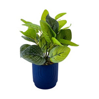 Green Artificial Plant with Blue  Pot