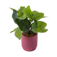 Green Artificial Plant with Pink  Pot