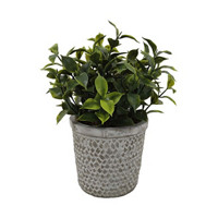 Green Artificial Plant with Cement Pot