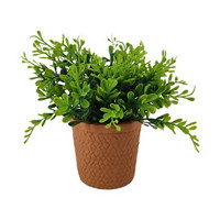 Green Artificial Plant with Terracotta Cement Pot
