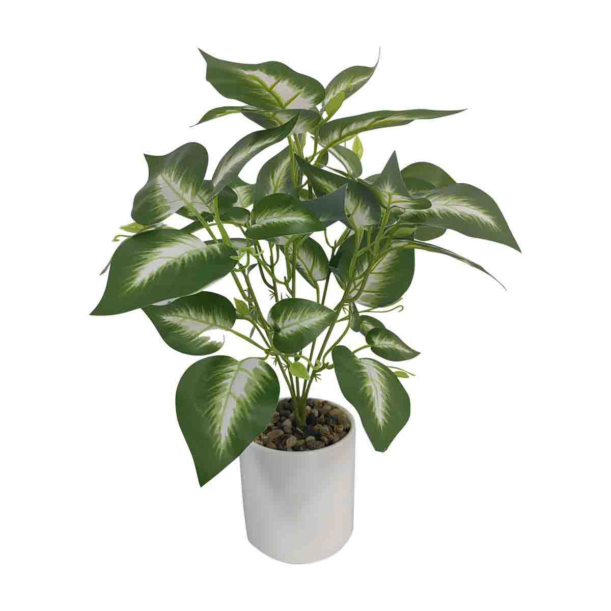 Faux Calathea Plant in Pot