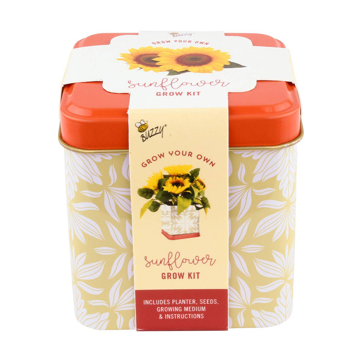 Buzzy Decorative Square Tin Sunflower Grow Kit