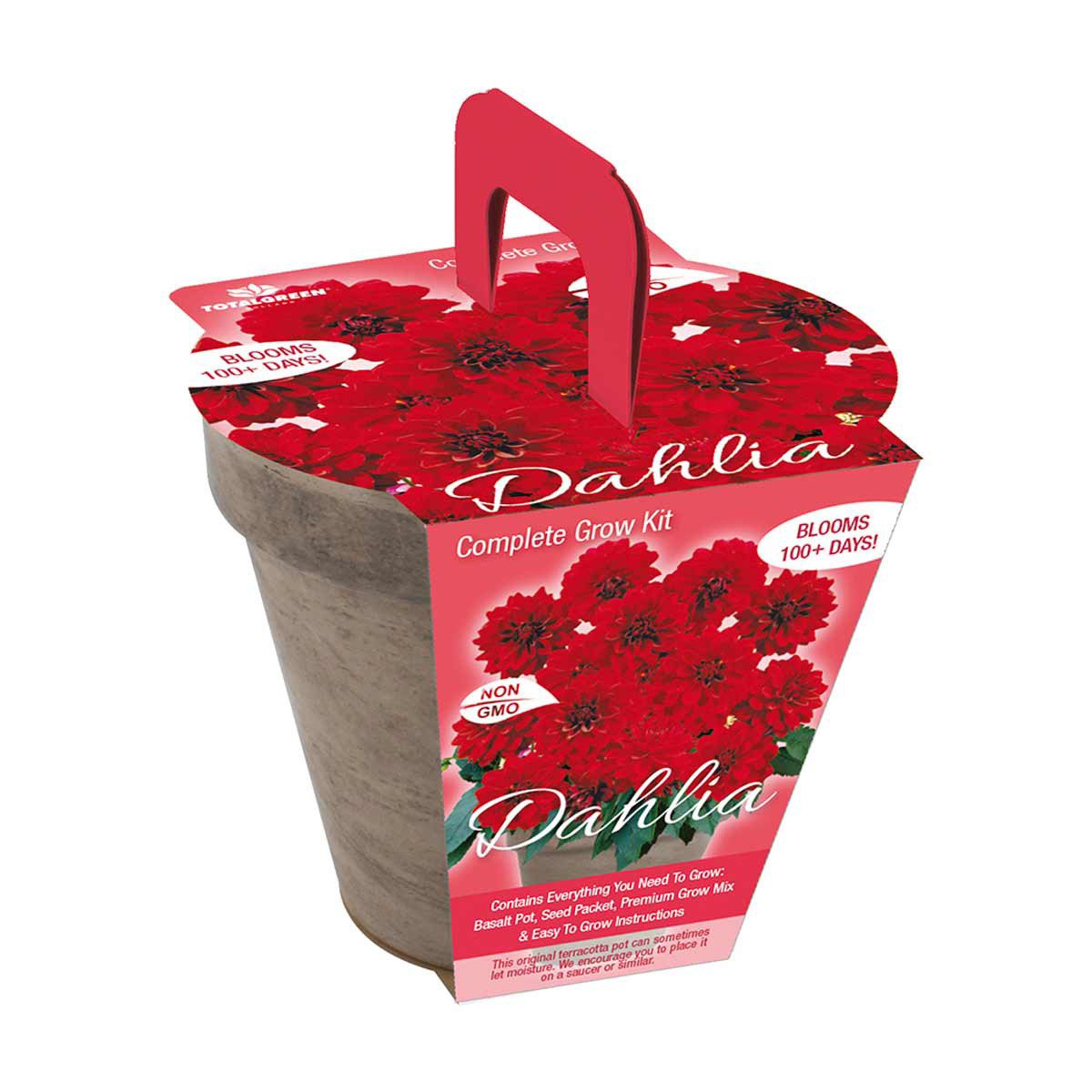 Dahlia Grow Kit in Basalt Pot