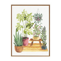 House Plant Art, Assorted, 6 in x 8 in