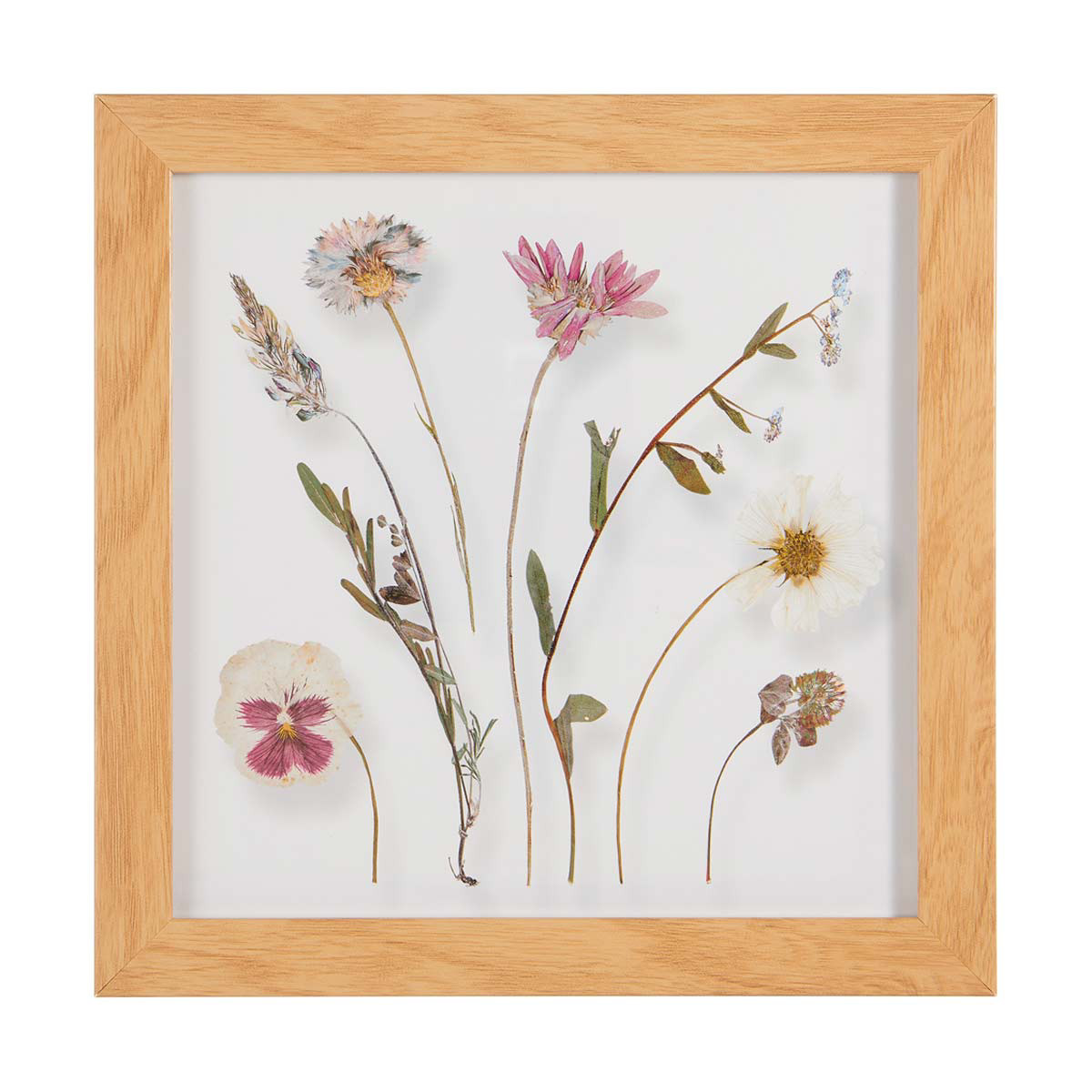 Framed Pressed Flowers Under Glass, 9 in x 9 in