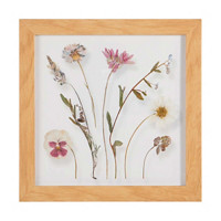 Framed Pressed Flowers Under Glass, 9 in x