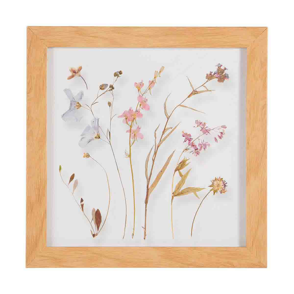 Framed Pressed Flowers Under Glass, 9 in x 9 in