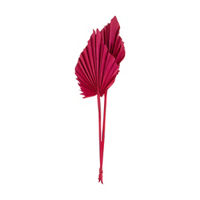 Pink Sun Spears Stem, Small