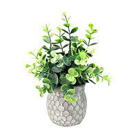 Artificial Greenery Plant in Cement Pot