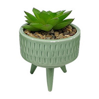 Artificial Succulent Plant in Ceramic Pot, Small