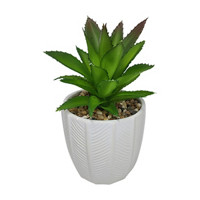 Artificial Succulent Plant in Ceramic Pot