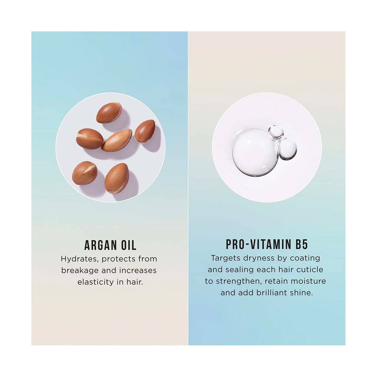 Hask Argan Oil 5in1 LeaveIn Spray Conditioner & Detangler, 1.75 oz