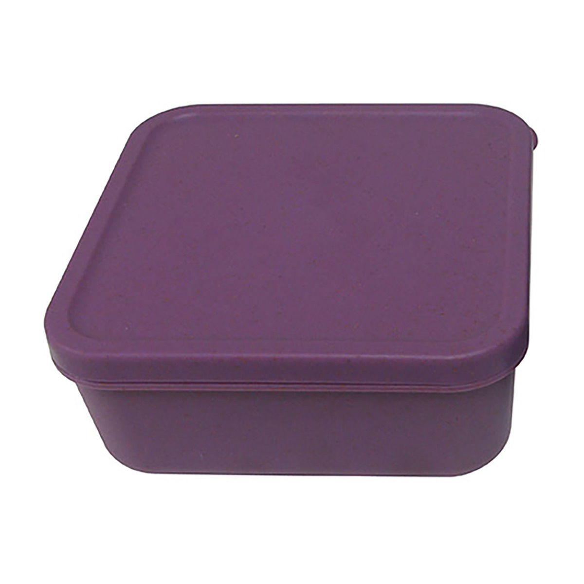 Square Food Storage Container