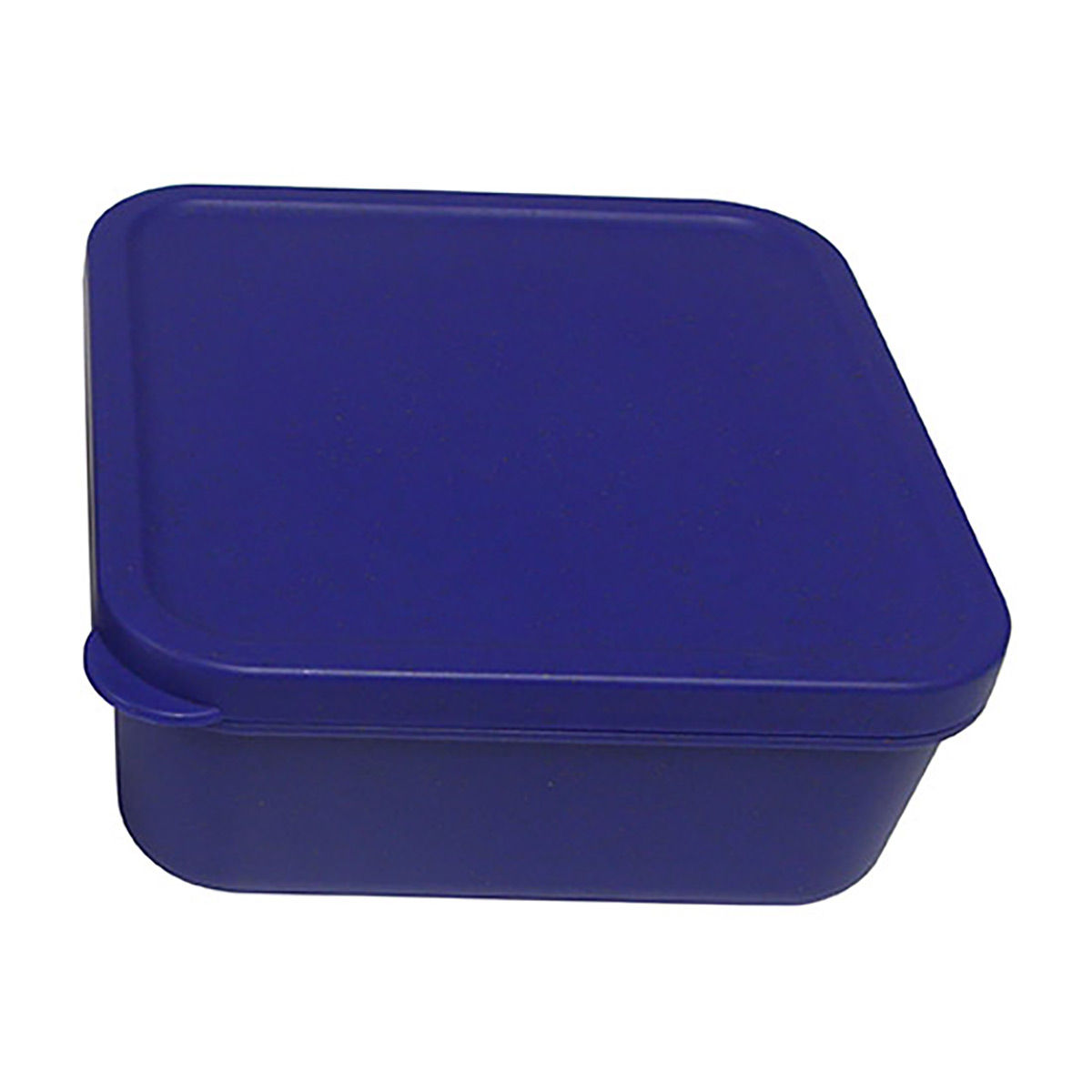 Square Food Storage Container