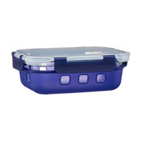 Food Storage Container with Snap-on Lid, Silicone, 21.6 oz