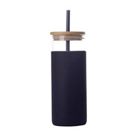 Glass Tumbler with Rubber Case & Straw