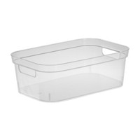 SMALL STORAGE BIN TL CLR