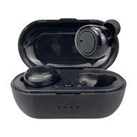 Gabba Goods Wireless Earbuds with Charging Case, Black