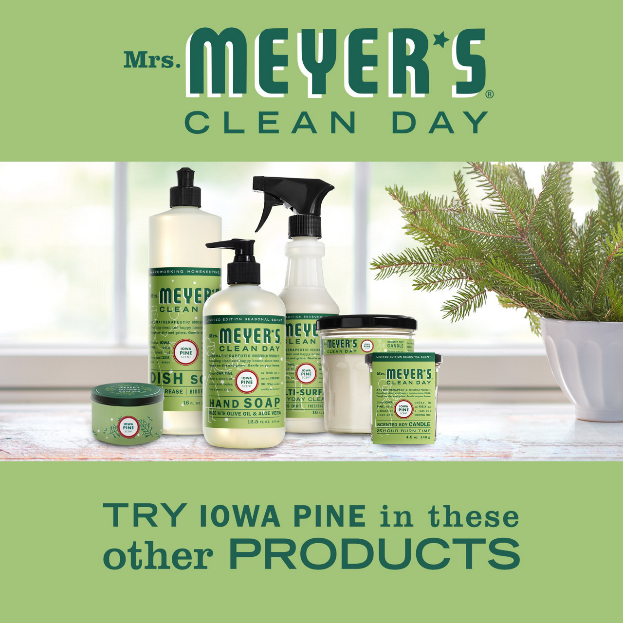 Mrs. Meyer's Clean Day Iowa Pine Scent Dish Soap, 16 fl oz