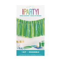 Blue & Green Plastic Fringe Photo Booth Backdrop