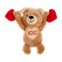 Valentine's Bear Rope Dog Toy