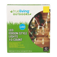 True Living Outdoors LED Edison Style Lights, 10 ct